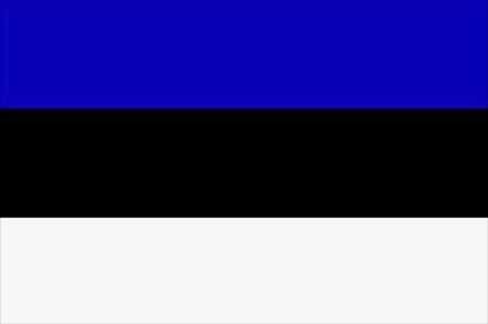 FLAG (91 x 152) cm ESTONIA