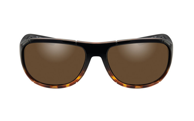 Szemüveg - Wileyx - ACE Polarized Bronze Gloss Tortoise Fade Frame